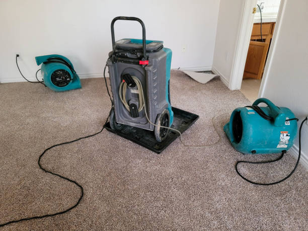 24/7 water damage repair in NM