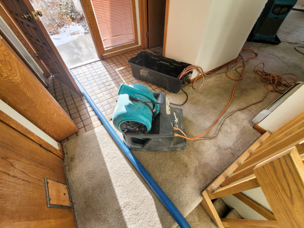 Best 24/7 water damage repair  in Los Luceros, NM