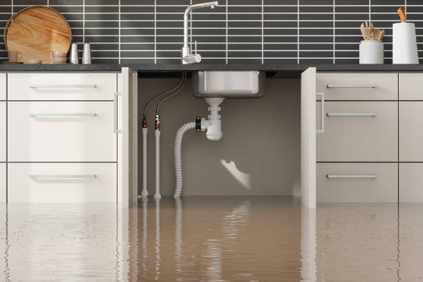 Best Carpet water damage restoration  in Los Luceros, NM